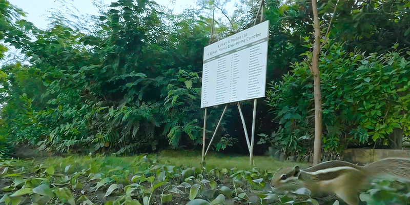 https://2025-uat-website-ctbsbdaaa8bqbghf.a02.azurefd.net/ltuat/media/20bayi50/biodiversity-1.webp