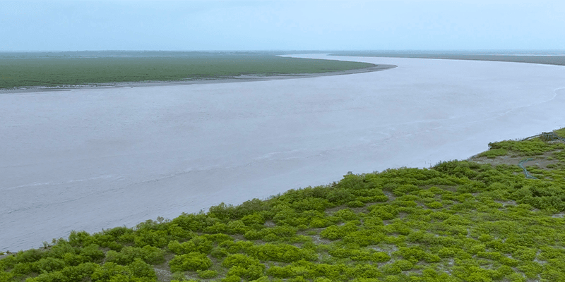 https://2025-uat-website-ctbsbdaaa8bqbghf.a02.azurefd.net/ltuat/media/wesobkmh/biodiversity-6.webp