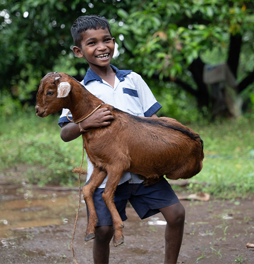 Animal Husbandry